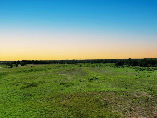 a view of a lush green forest with lots of trees