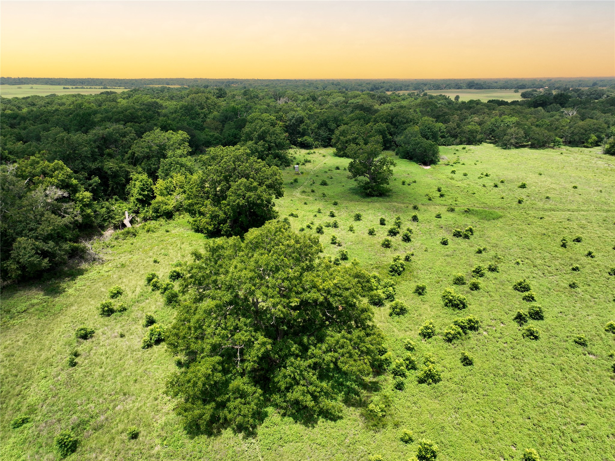 0 Fm 2749 Thornton, TX 76687 - Photo 13 of 30 a view of a lush green forest with lots of trees
