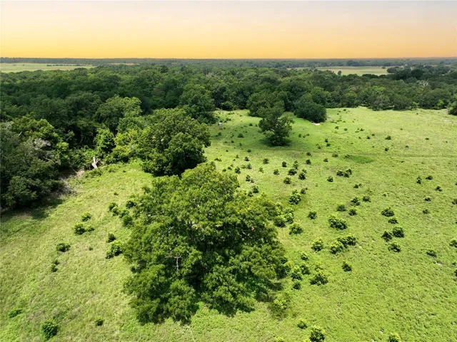a view of a grassy field with trees in the background