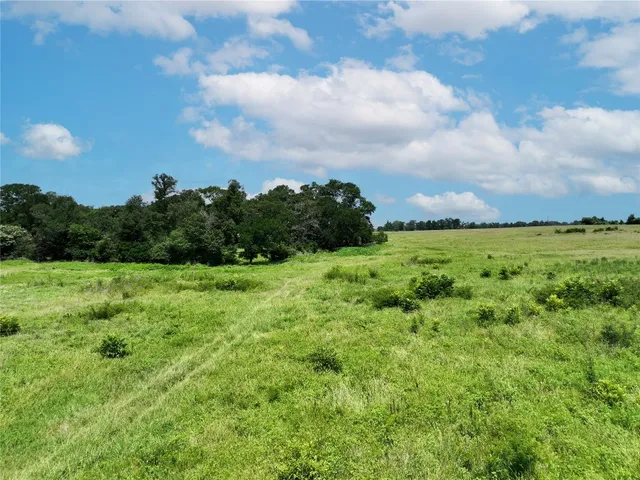 a view of a green field with lots of trees