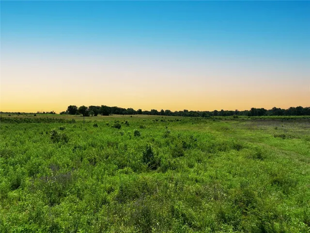 a view of a bunch of trees