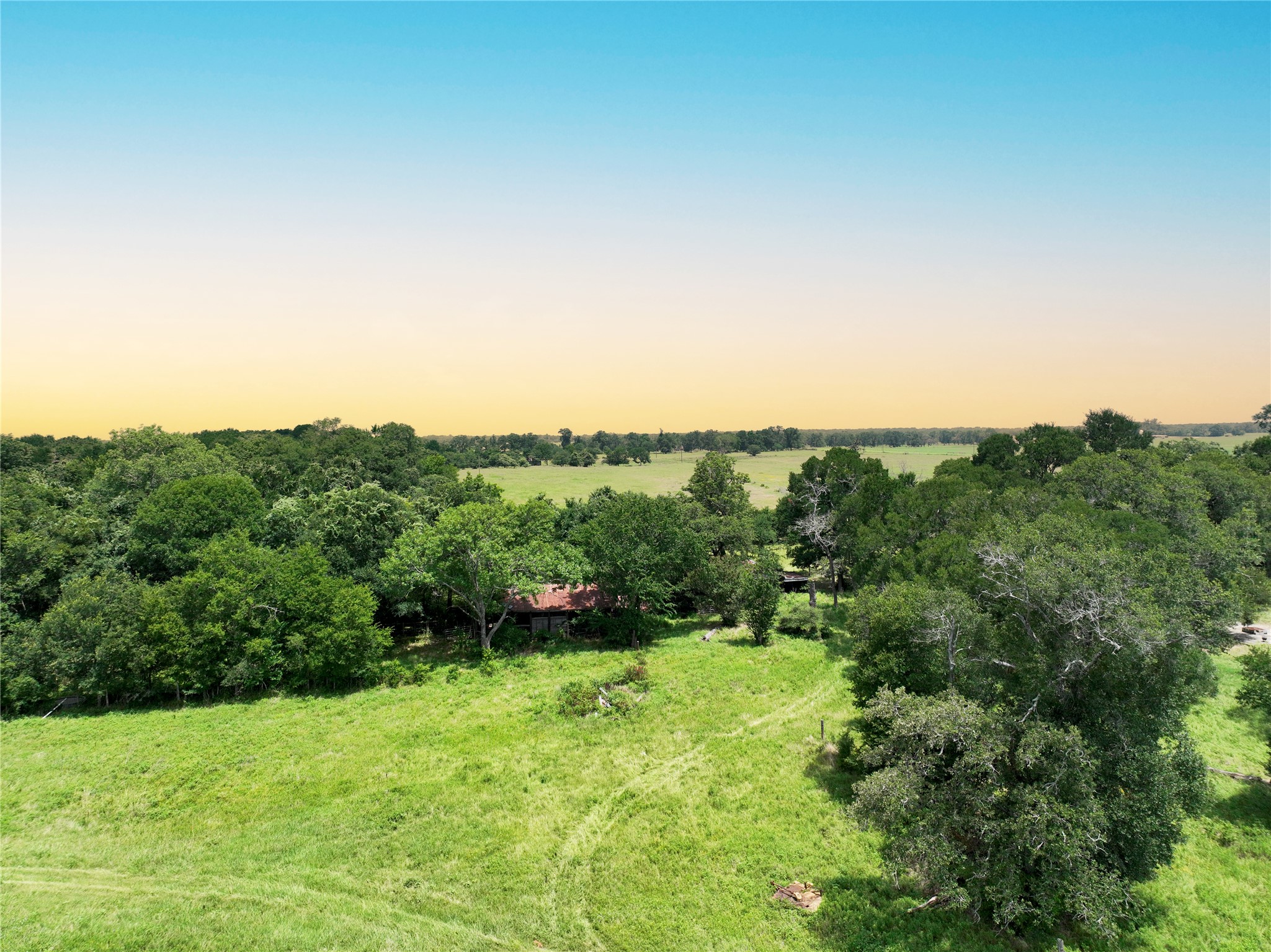 0 Fm 2749 Thornton, TX 76687 - Photo 20 of 30 a view of a green field with lots of trees