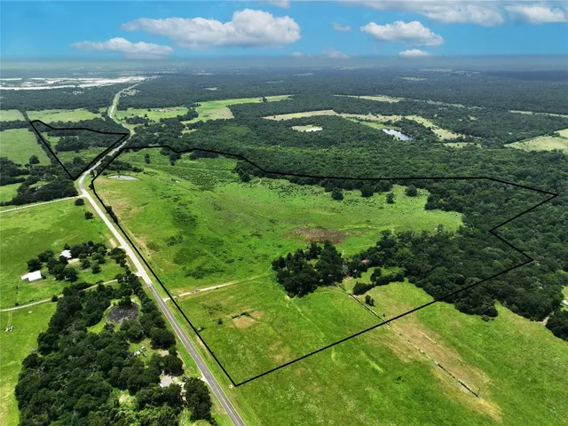a view of a bunch of trees and bushes