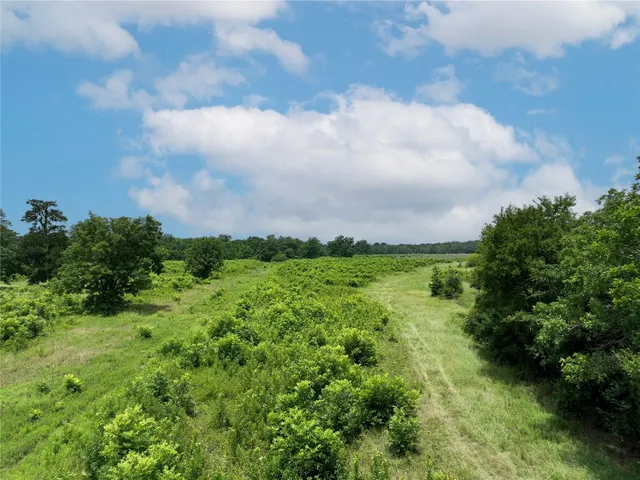 a view of a green field with lots of green space
