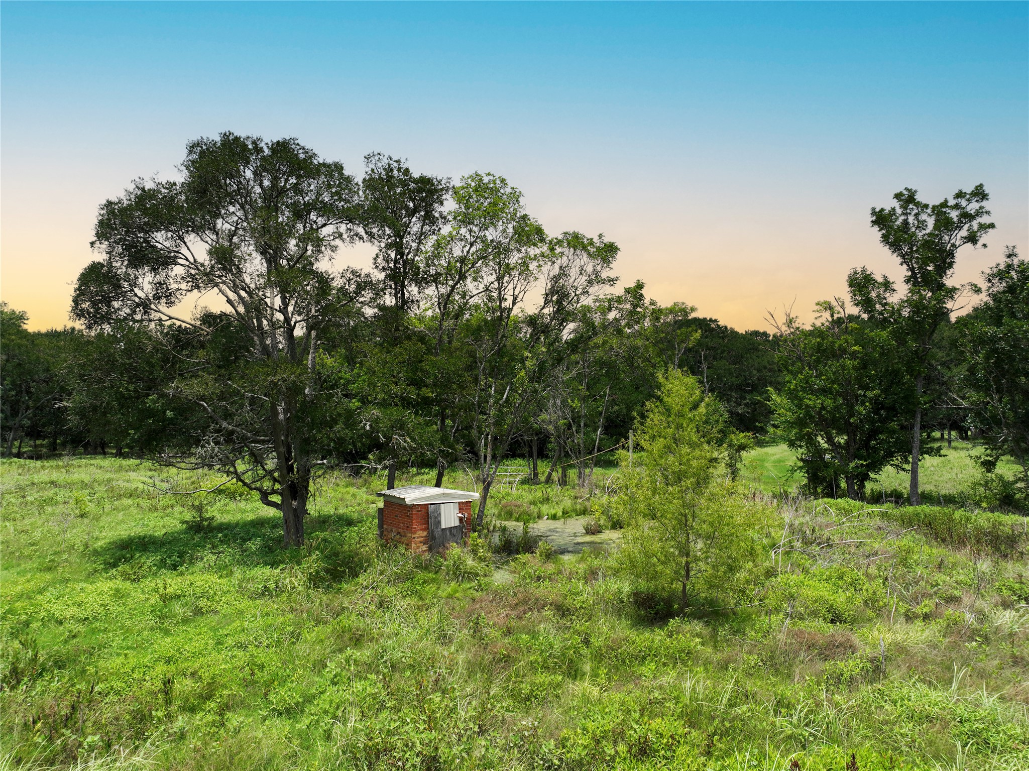 0 Fm 2749 Thornton, TX 76687 - Photo 27 of 30 a view of a bench in a field of grass and trees