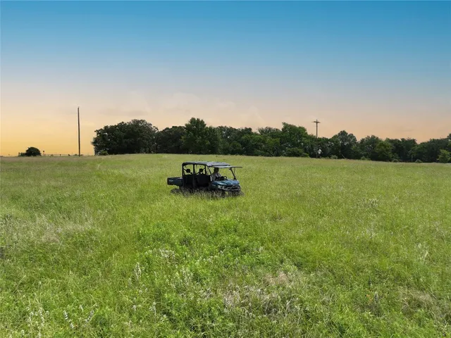 a view of a green field with lots of bushes