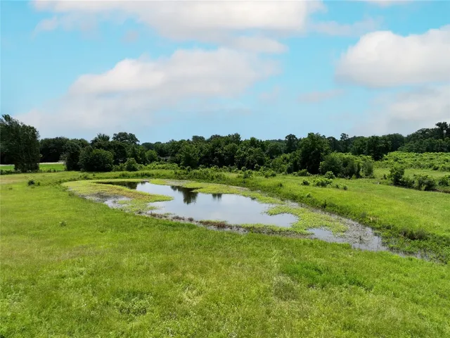 a view of grassy field with trees