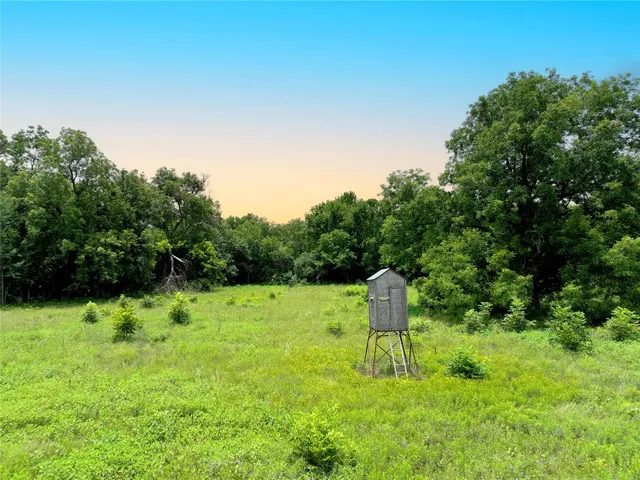 a view of a field with an ocean