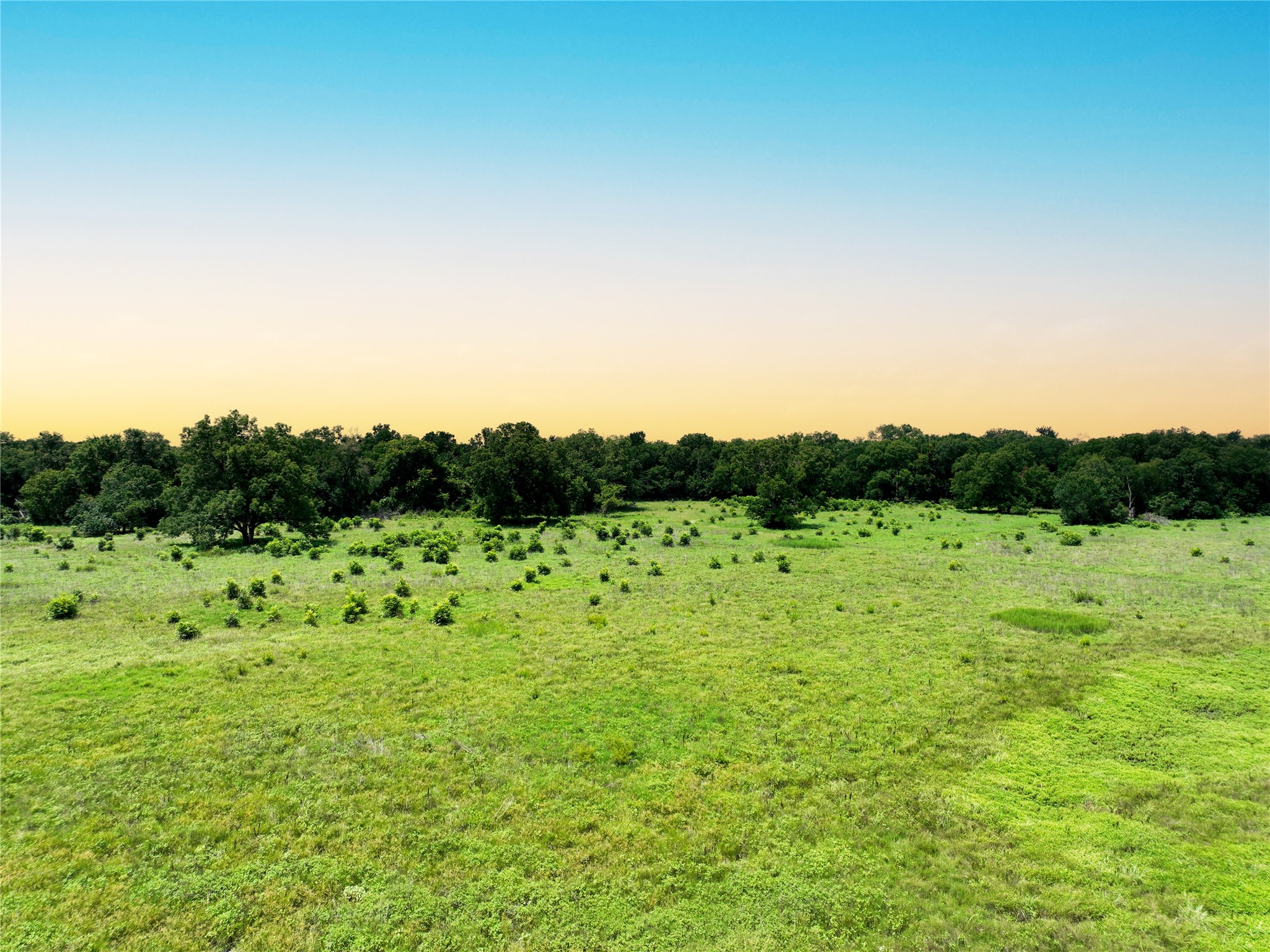 0 Fm 2749 Thornton, TX 76687 - Photo 8 of 30 a view of grassy field with trees