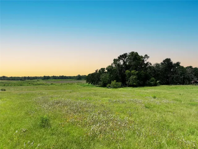 a view of grassy field with mountain