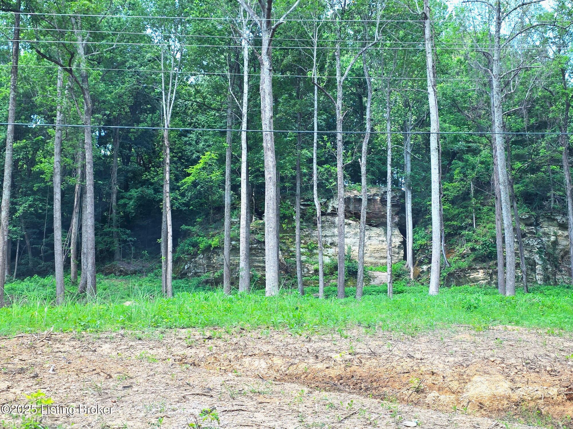 3 Cave Creek Road Falls Of Rough, KY 40119 - Photo 5 of 7 Lot 3-3