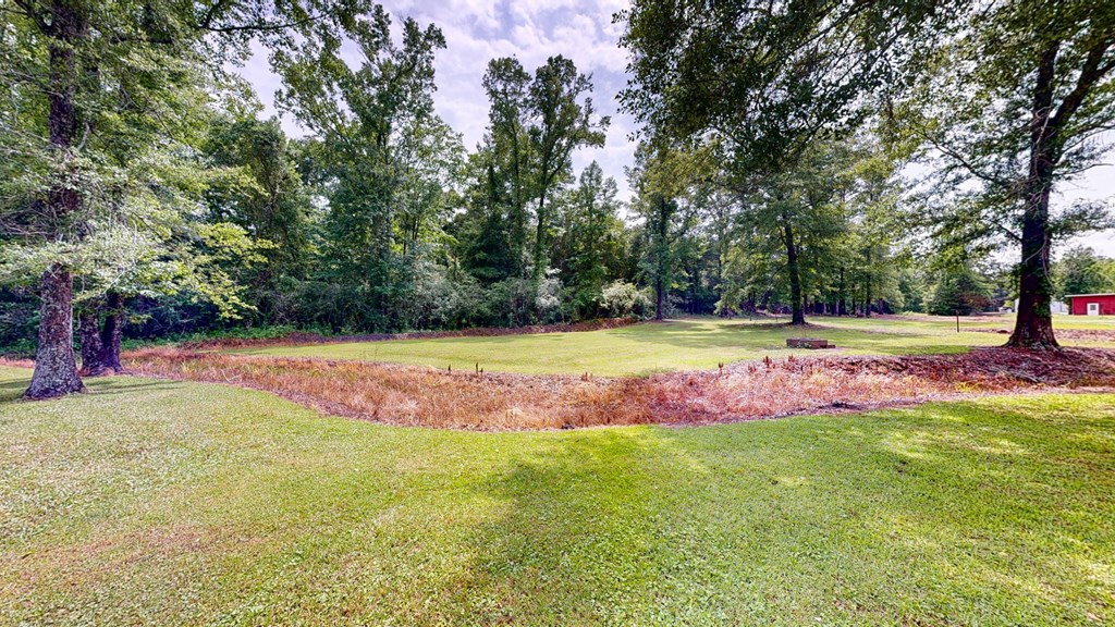 335 A J Register Road Dothan, AL 36301 - Photo 36 of 40