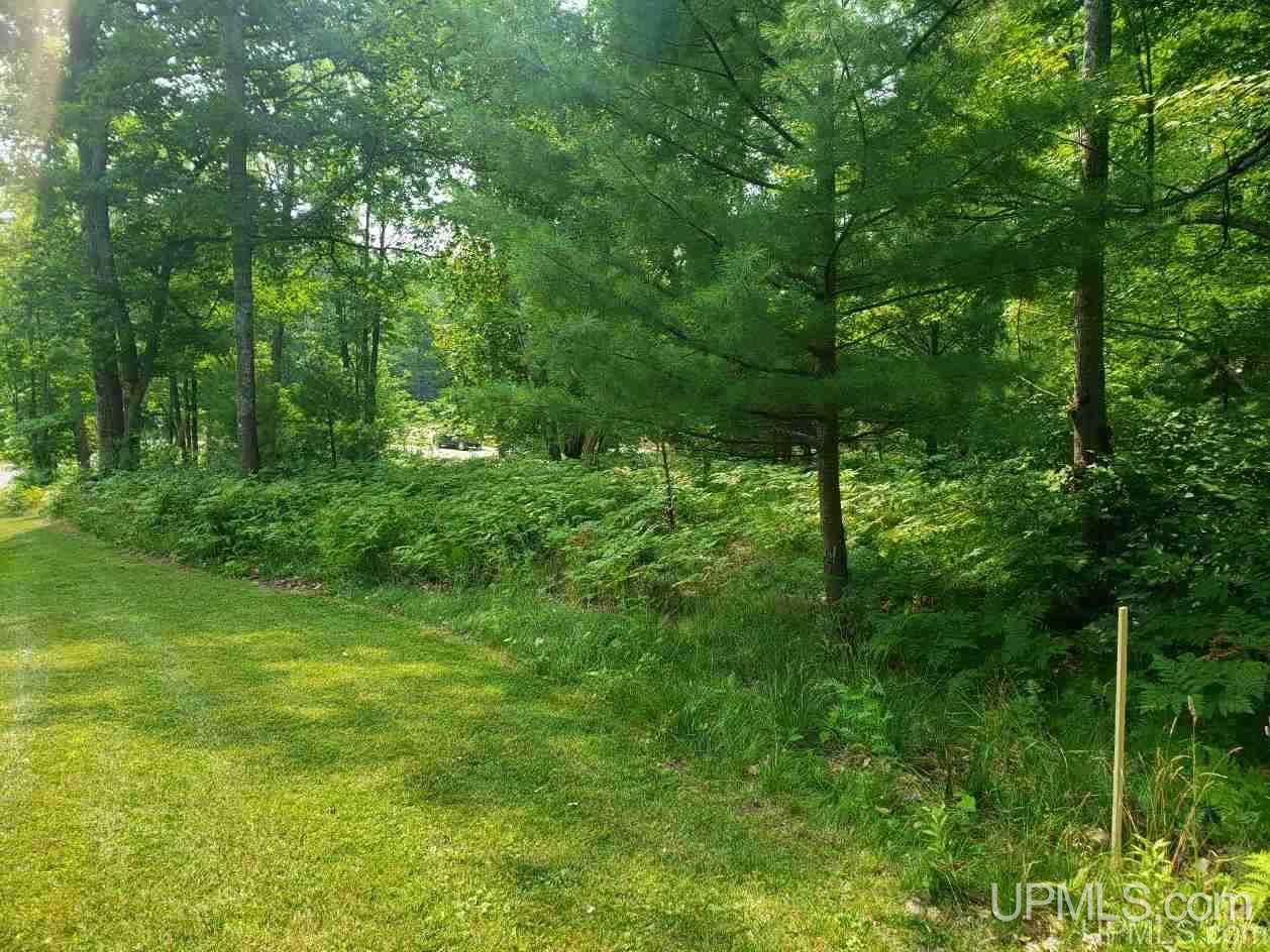 T-wi Wi 54121 Road Florence, WI 54121 - Photo 3 of 11
