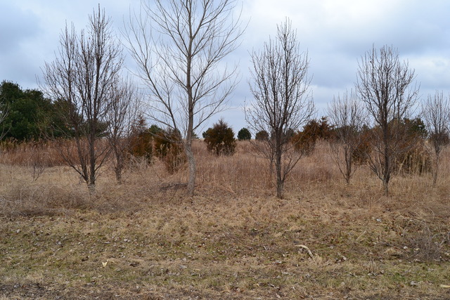 0 East 18th Road Ottawa, IL 61350 - Photo 1 of 16
