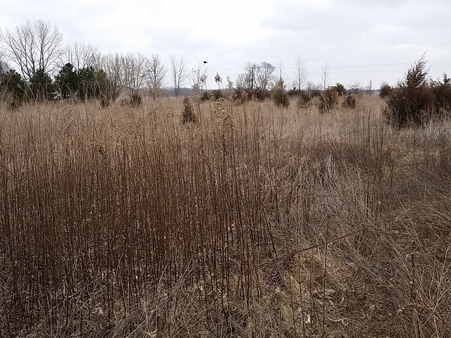0 East 18th Road Ottawa, IL 61350 - Photo 14 of 16