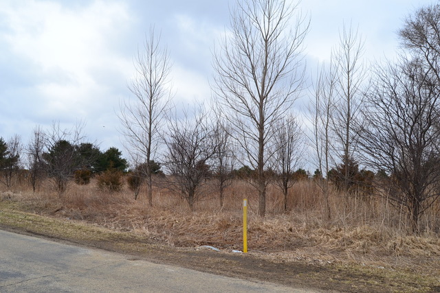 0 East 18th Road Ottawa, IL 61350 - Photo 3 of 16