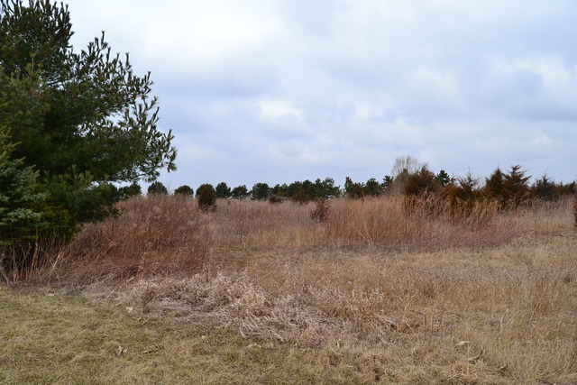 0 East 18th Road Ottawa, IL 61350 - Photo 6 of 16