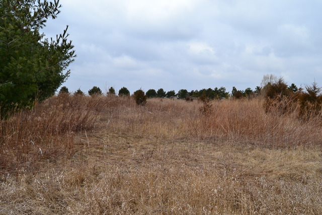 0 East 18th Road Ottawa, IL 61350 - Photo 7 of 16