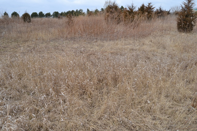 0 East 18th Road Ottawa, IL 61350 - Photo 8 of 16