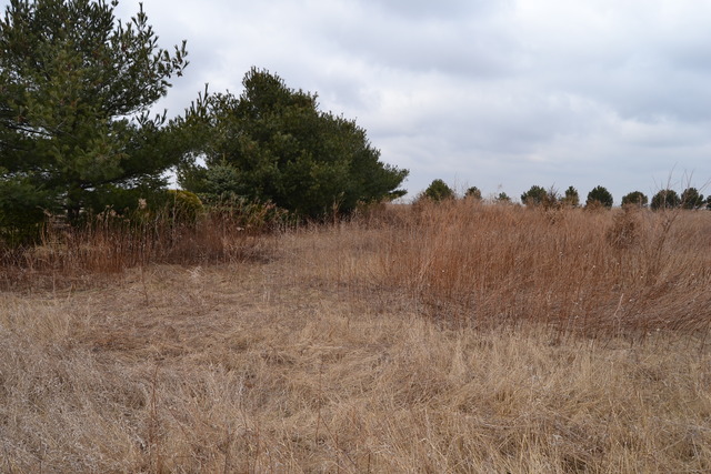 0 East 18th Road Ottawa, IL 61350 - Photo 9 of 16