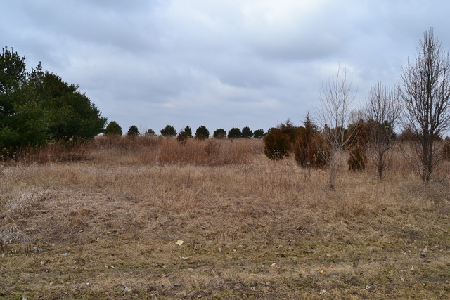 0 East 18th Road Ottawa, IL 61350 - Photo 10 of 16