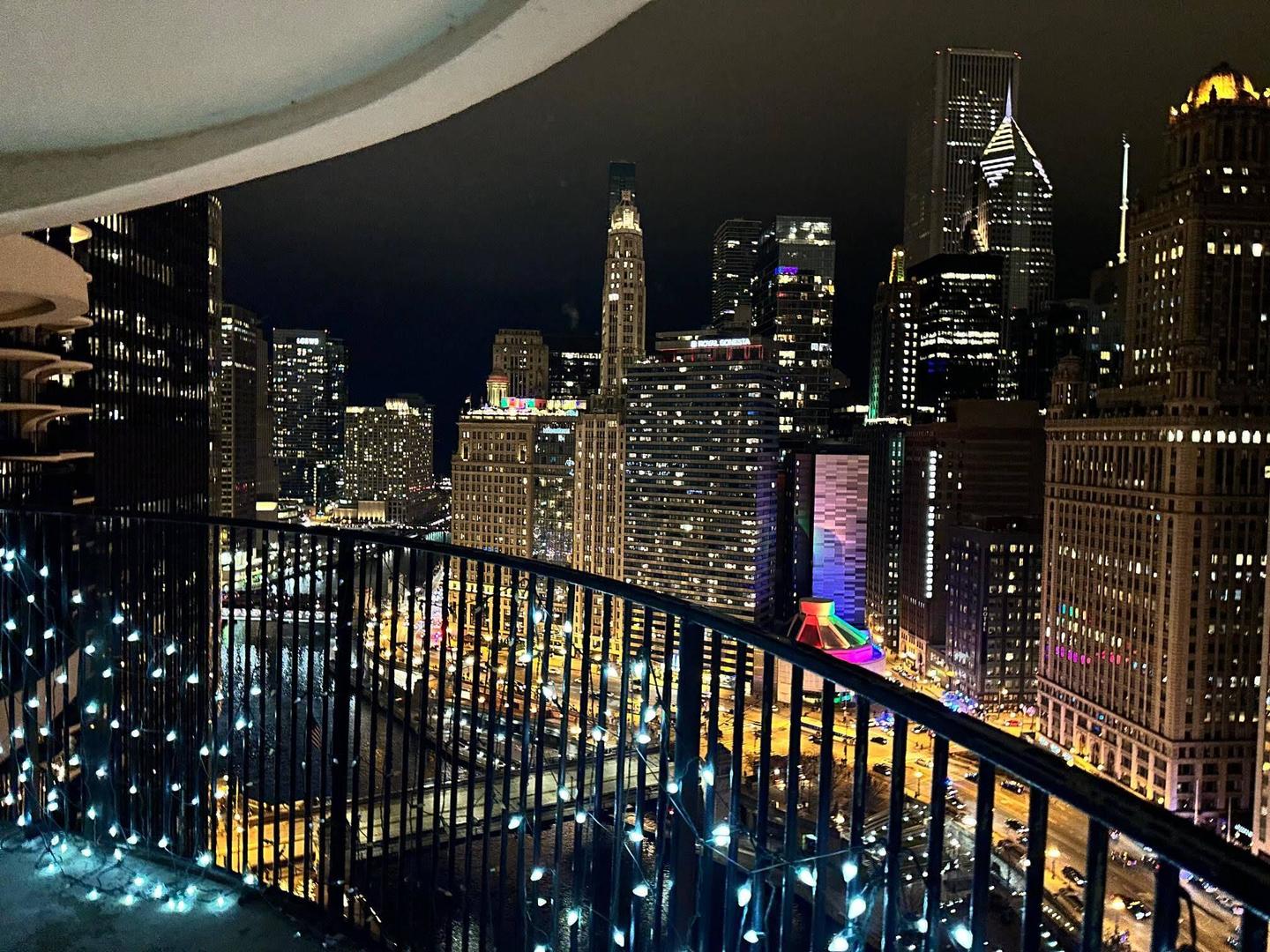 300 North State Street, Unit 2910 Chicago, IL 60654 - Photo 19 of 22