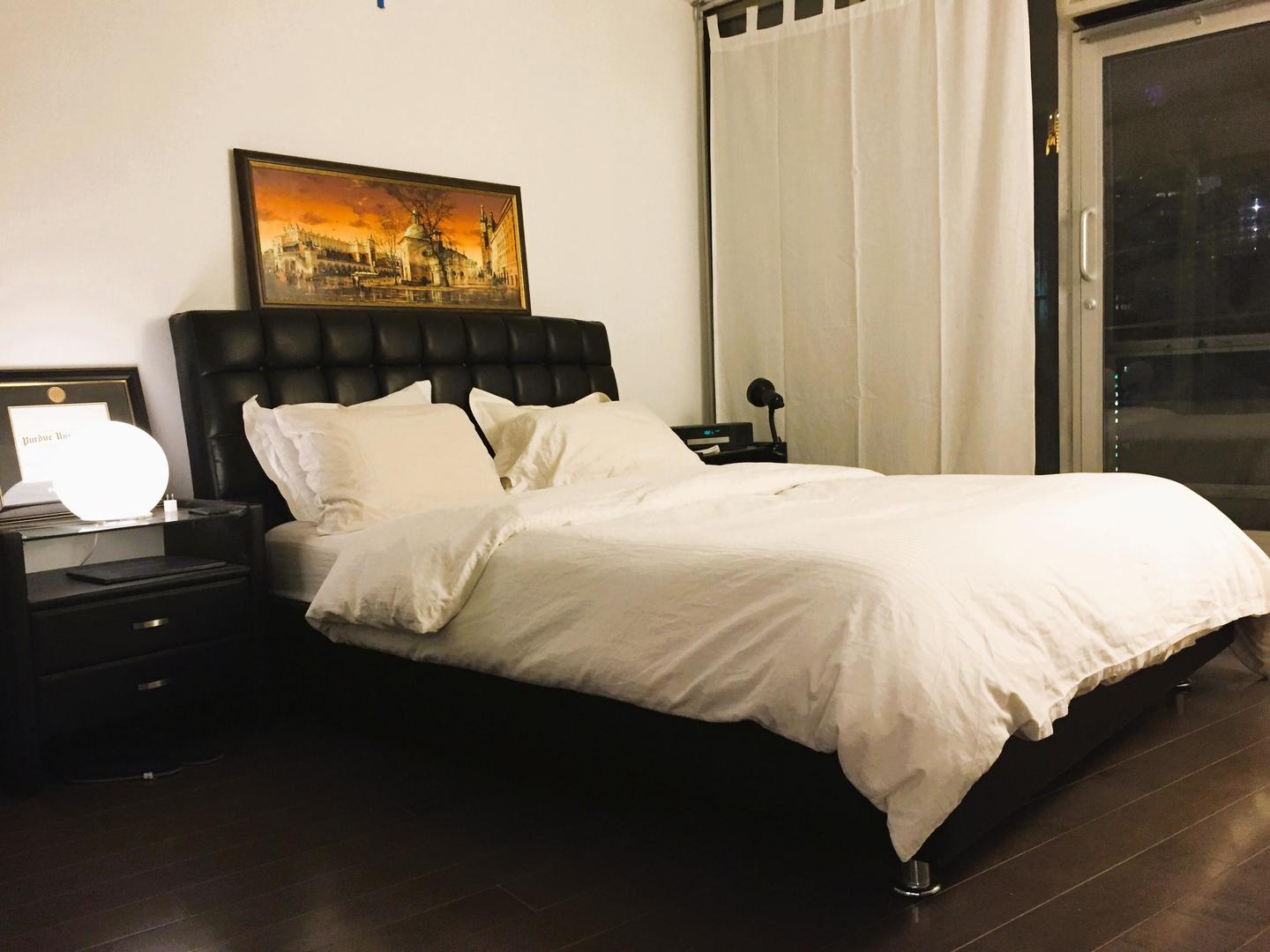 300 North State Street, Unit 2910 Chicago, IL 60654 - Photo 9 of 22