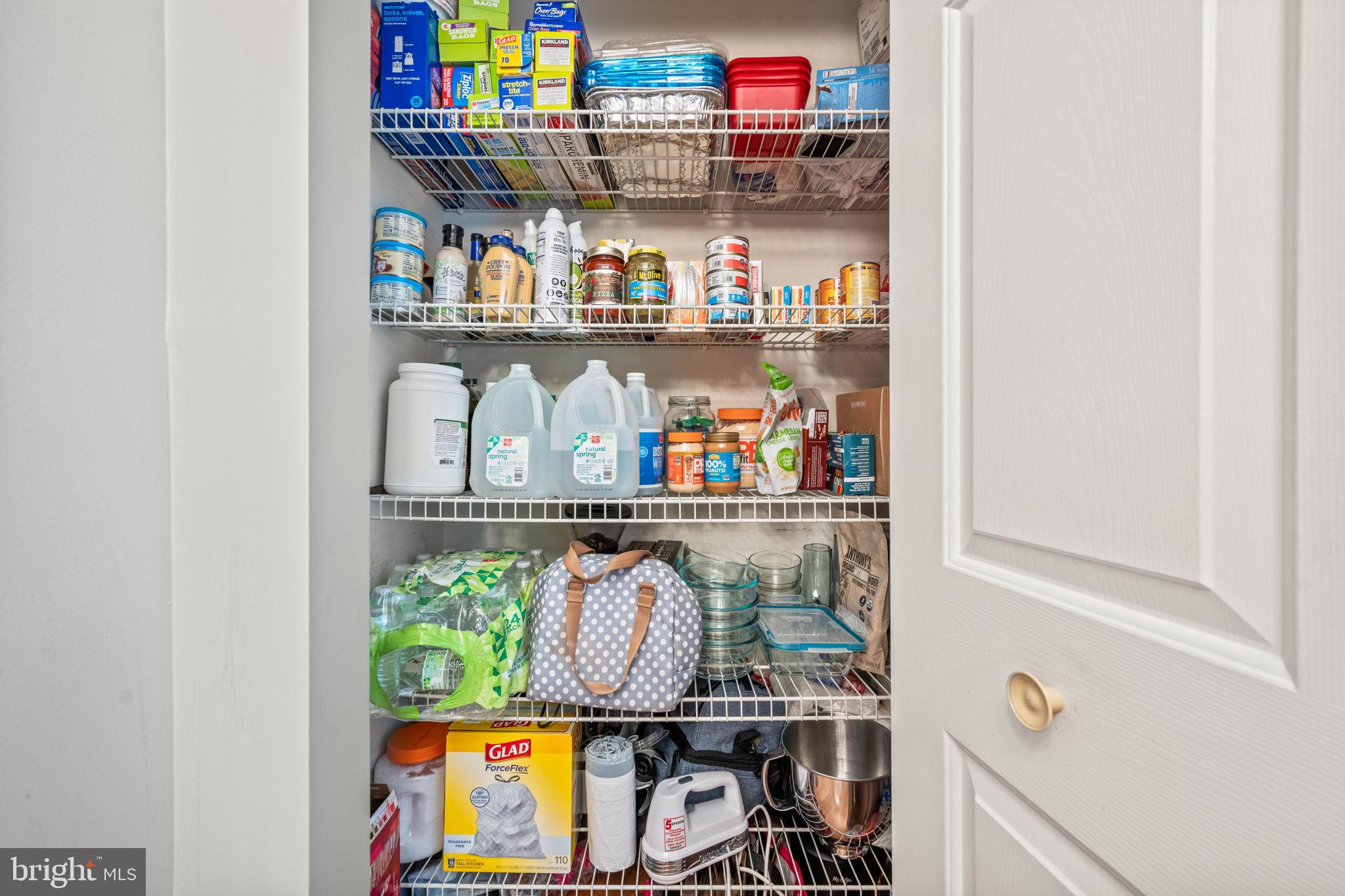 913 Rolfe Place Alexandria, VA 22314 - Photo 17 of 49 Pantry closet - you can't have too much storage