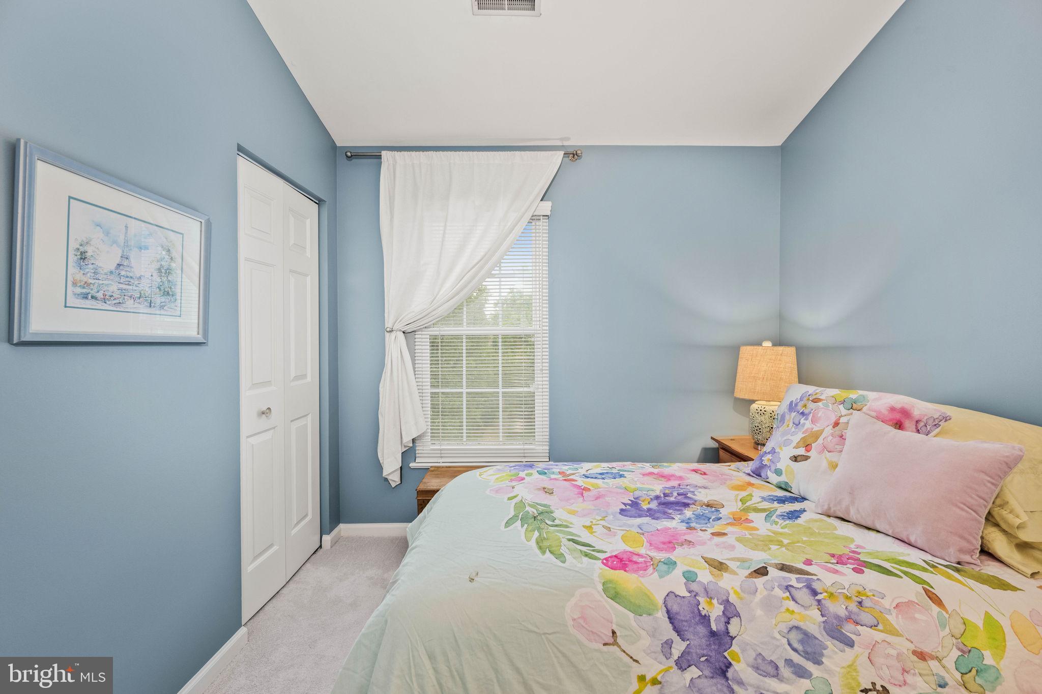 913 Rolfe Place Alexandria, VA 22314 - Photo 29 of 49 Ample closet