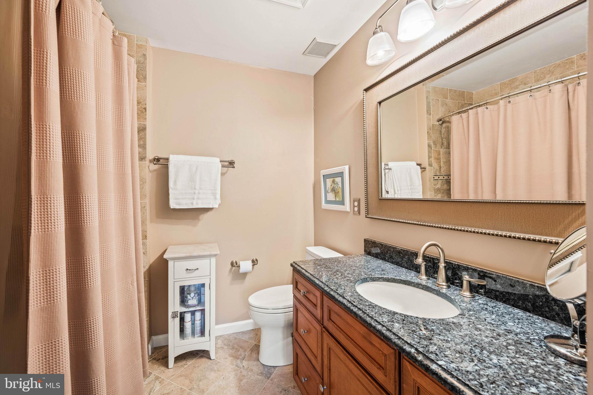 913 Rolfe Place Alexandria, VA 22314 - Photo 30 of 49 Remodeled Hall Bath