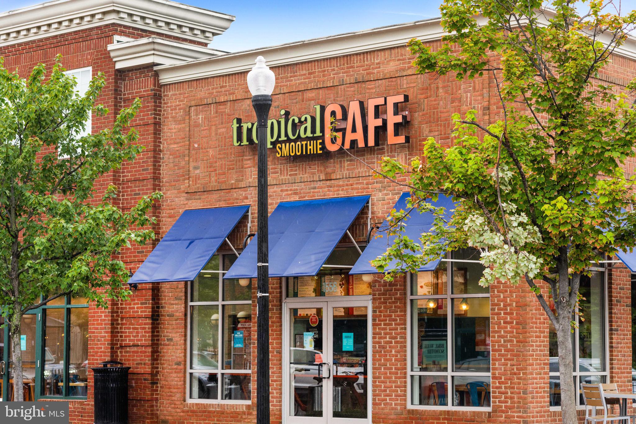 913 Rolfe Place Alexandria, VA 22314 - Photo 40 of 49 Tropical Cafe