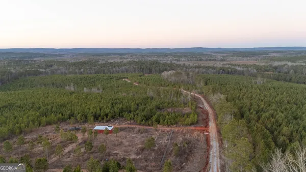 a view of a lush green forest with a mountain