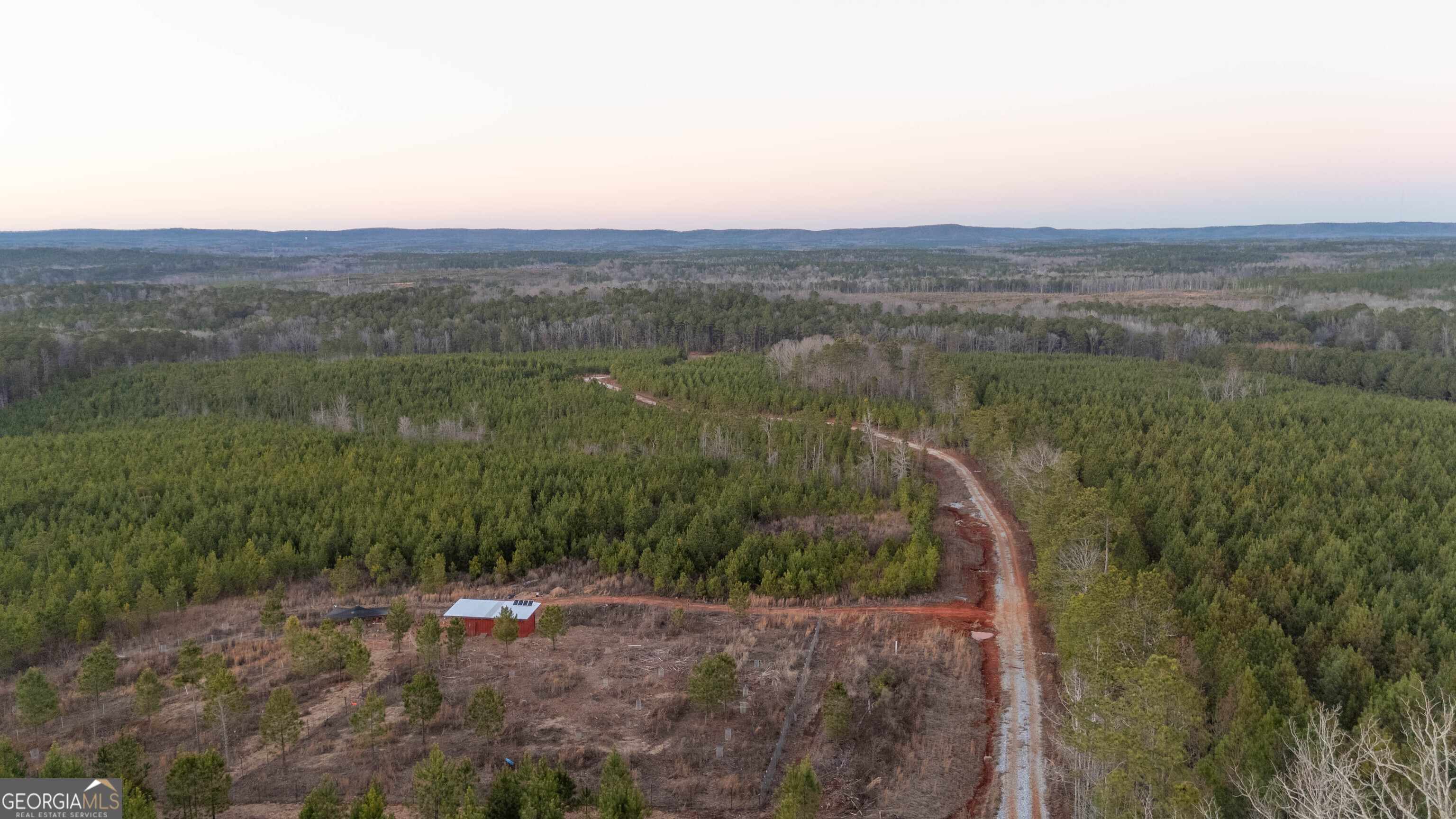 723 Brown Creek Road Shiloh, GA 31826 - Photo 13 of 14 a view of a lush green forest with a mountain