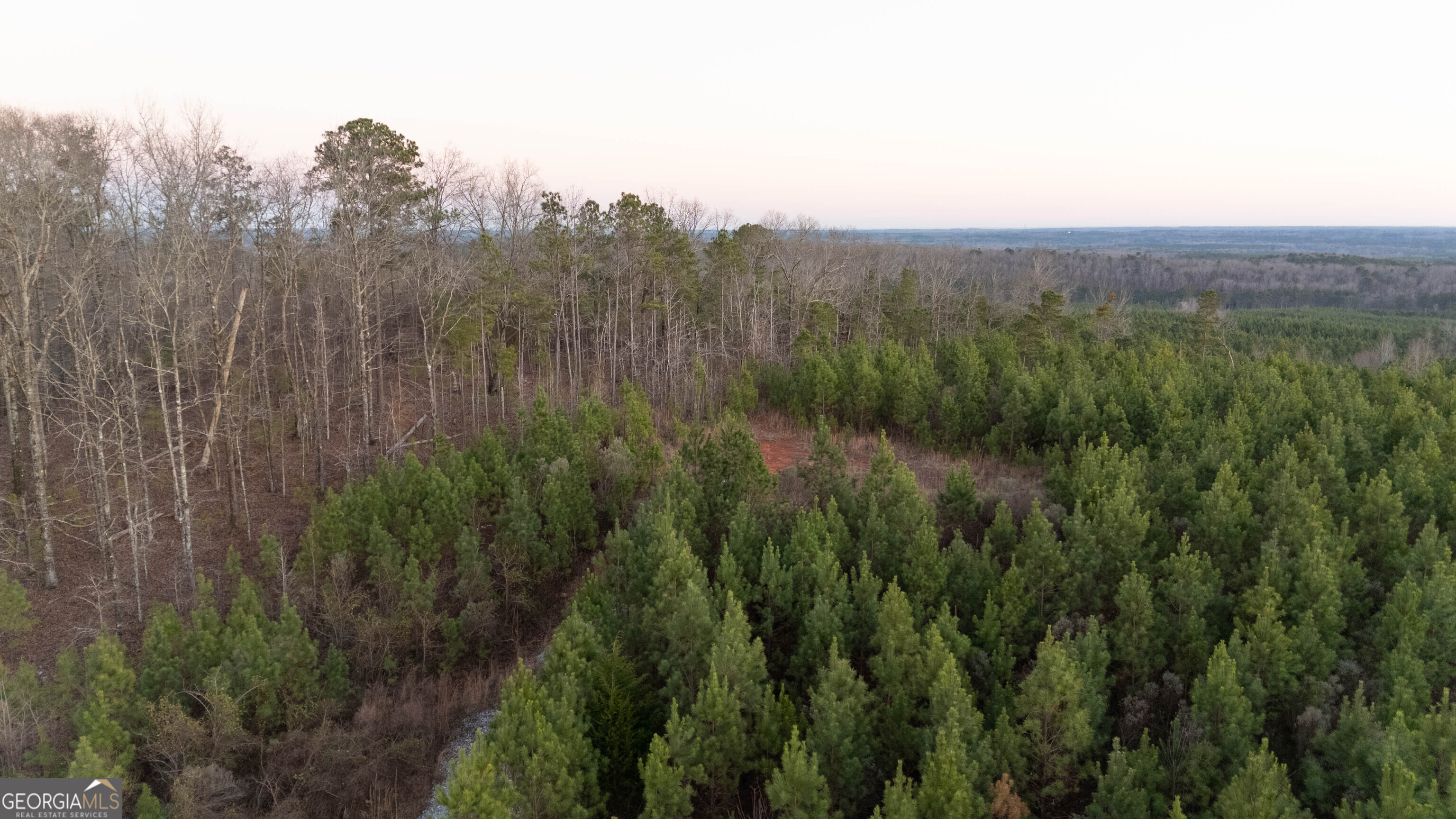 723 Brown Creek Road Shiloh, GA 31826 - Photo 14 of 14 a view of a lush green forest with a mountain
