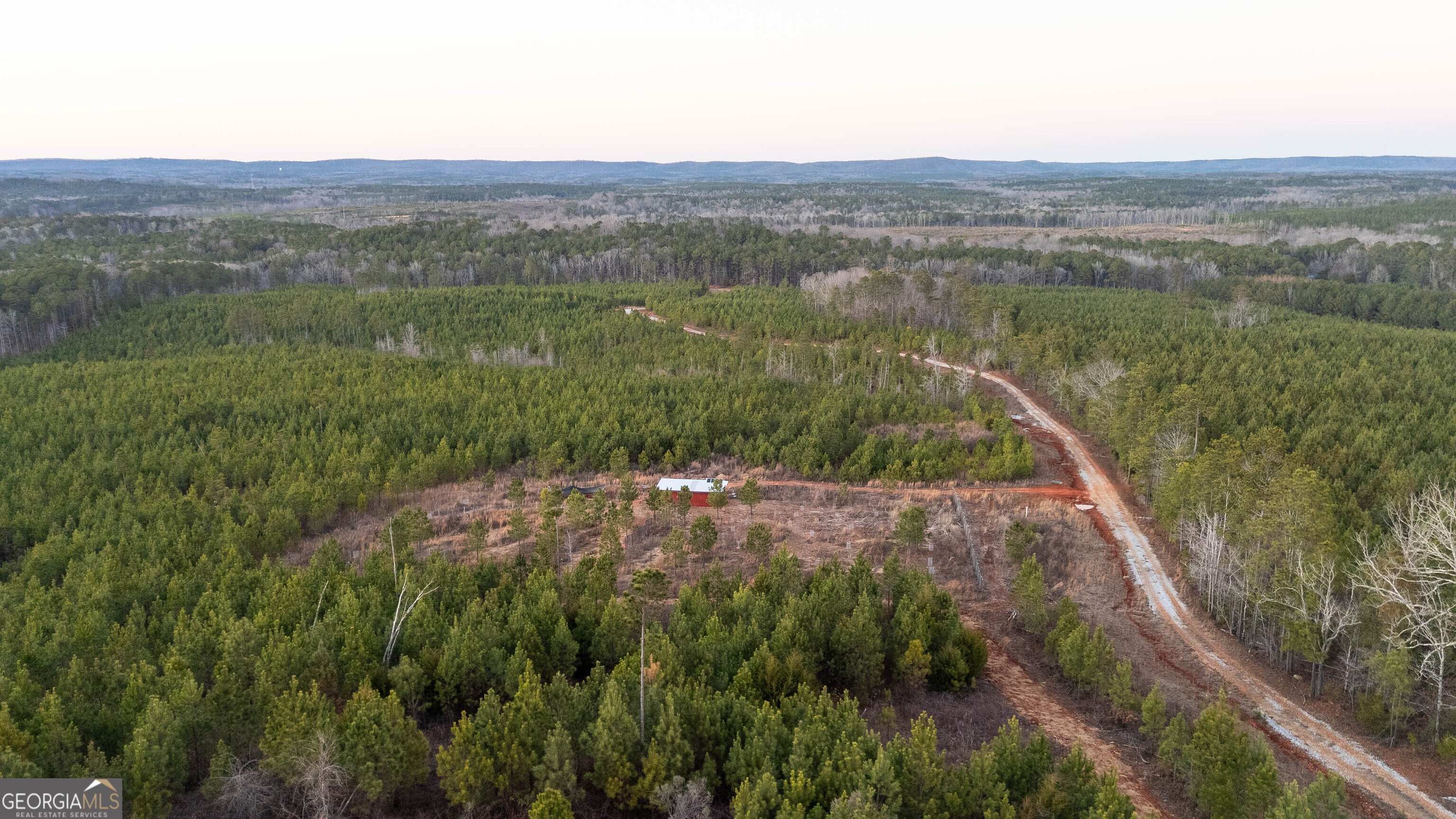 723 Brown Creek Road Shiloh, GA 31826 - Photo 2 of 14 a view of a lush green forest with a lake