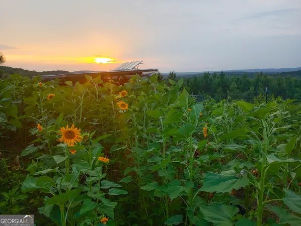 a view of a city and green space