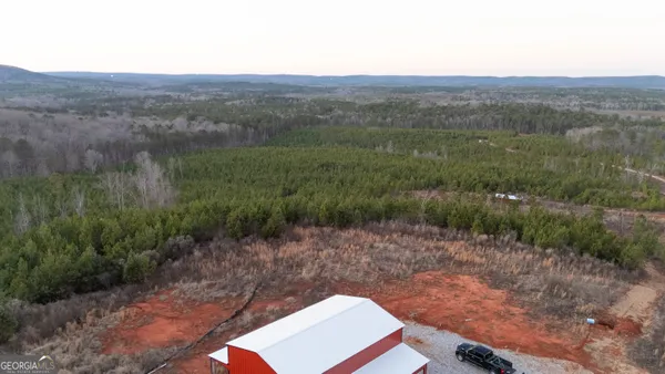 a view of a forest with a yard