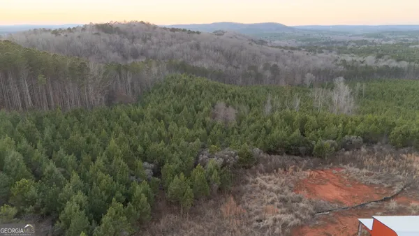 a view of a yard with a sink
