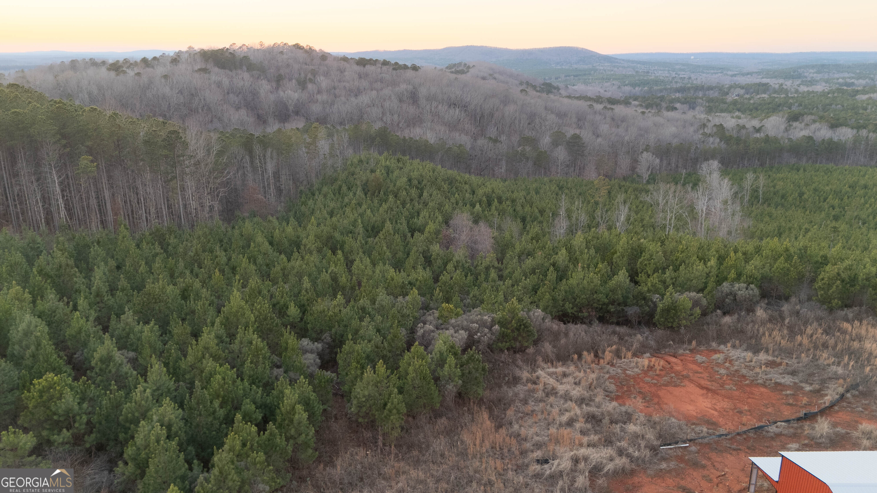 723 Brown Creek Road Shiloh, GA 31826 - Photo 9 of 14 a view of a yard with a sink