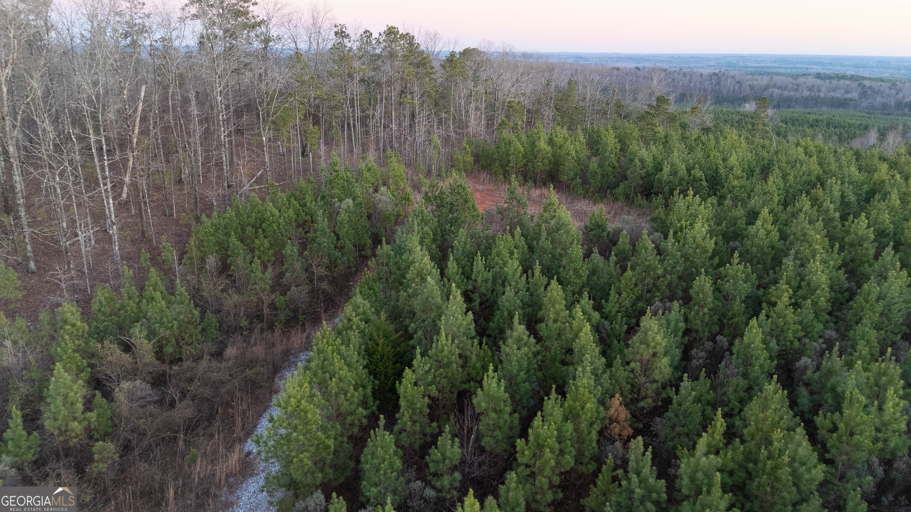 723 Brown Creek Road Shiloh, GA 31826 - Photo 10 of 14 a view of a lush green forest with trees and some trees