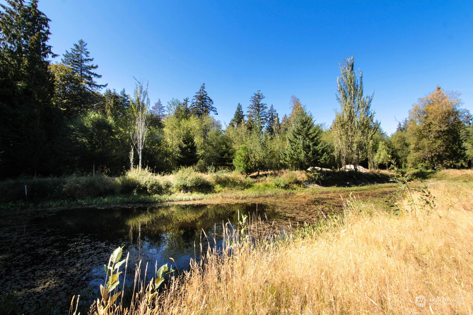 8351 Northeast Eglon Road Kingston, WA 98346 - Photo 18 of 35 Gallery Image 18