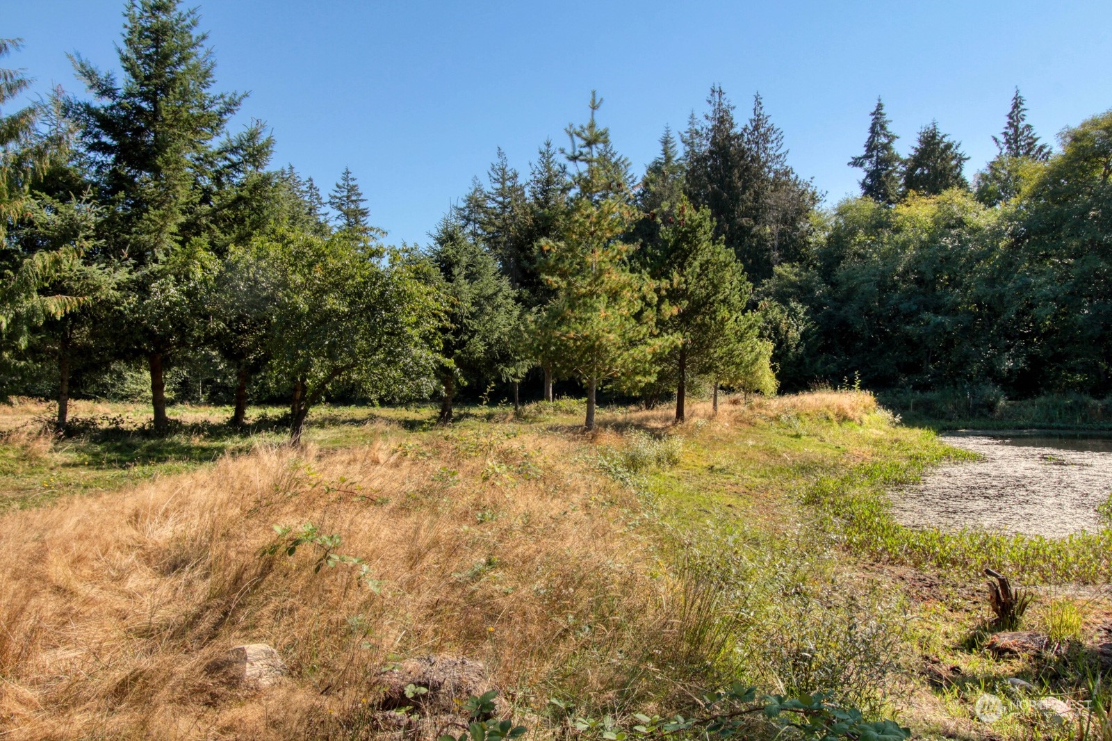 8351 Northeast Eglon Road Kingston, WA 98346 - Photo 21 of 35 Gallery Image 21