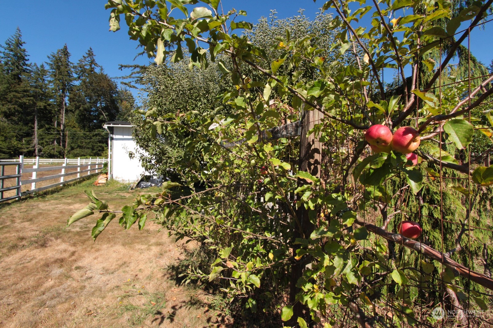 8351 Northeast Eglon Road Kingston, WA 98346 - Photo 26 of 35 Gallery Image 26