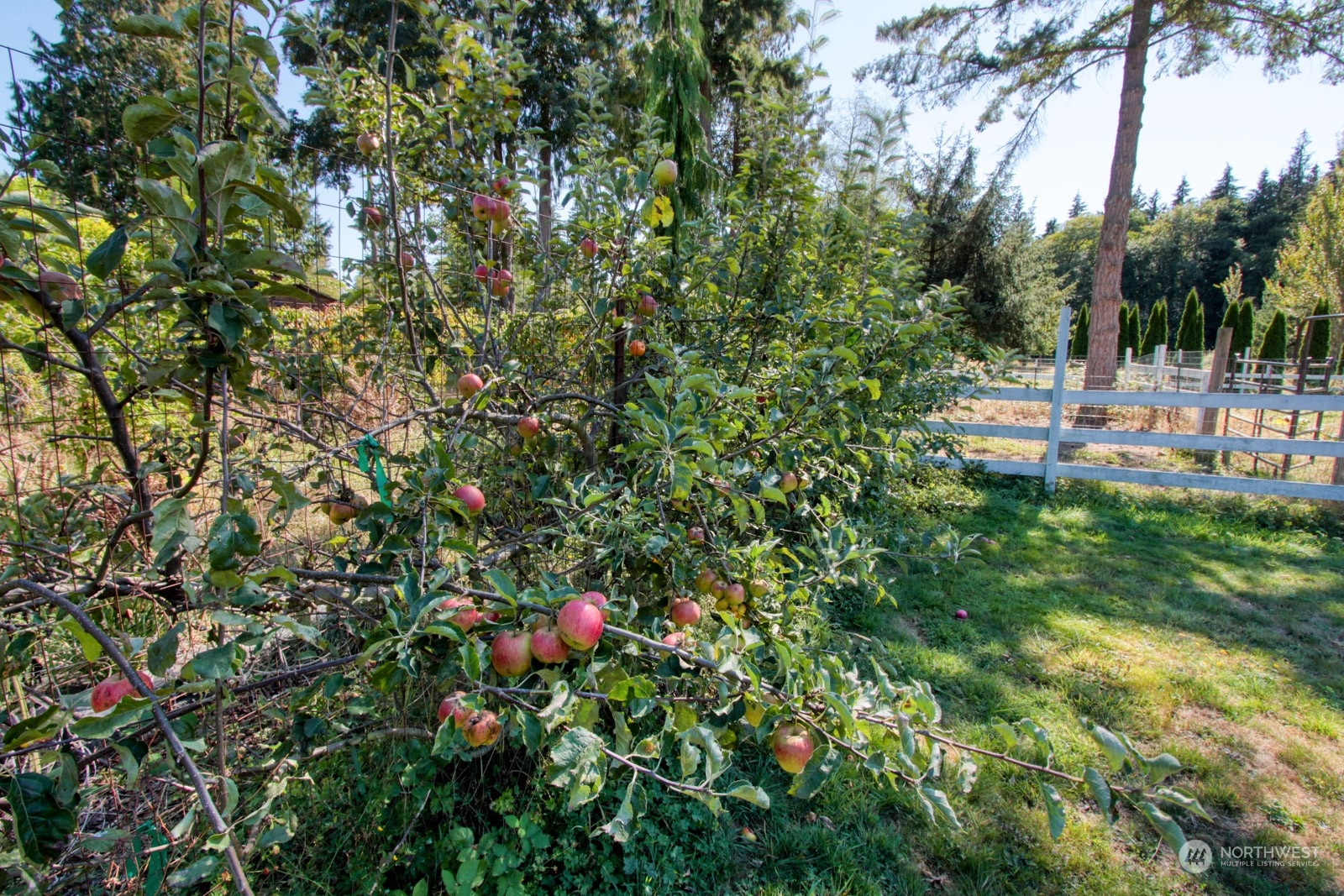 8351 Northeast Eglon Road Kingston, WA 98346 - Photo 27 of 35 Gallery Image 27