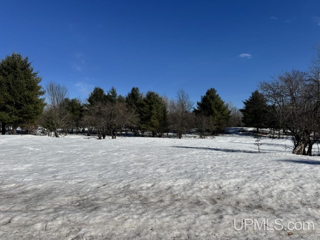 Tbd Bellaire Road Baraga, MI 49908 - Photo 19 of 20