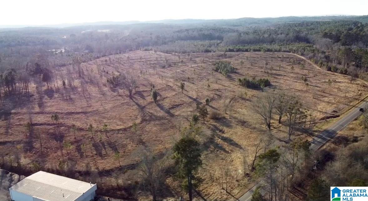 100 Easonville Road Cropwell, AL 35054 - Photo 3 of 4