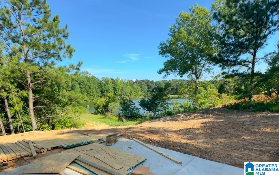640 Emerald Trace Chelsea, AL 35043 - Photo 2 of 2