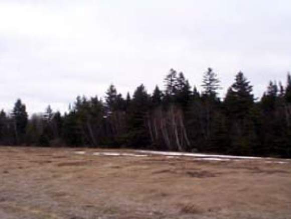 Lot 2 A French Hill Road Milan, NH 03588 - Photo 1 of 5 Gallery Image 1