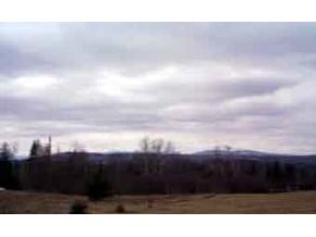 Lot 2 A French Hill Road Milan, NH 03588 - Photo 4 of 5 Gallery Image 4