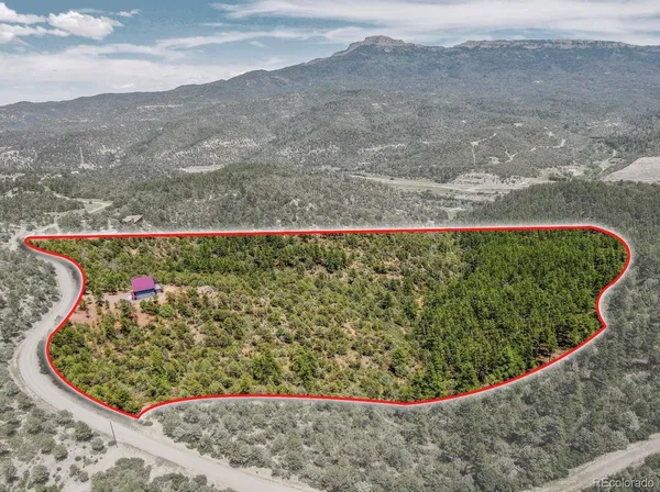 a view of a back yard of a house